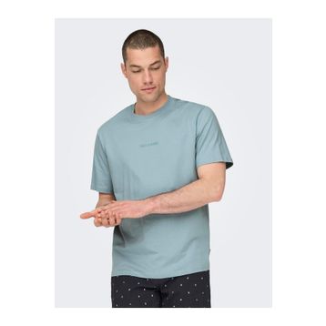 Only & Sons 22028147 Erkek T-shirt