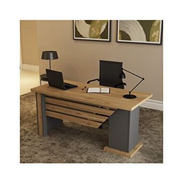 Ophira 1 Oph04 Ofis Masası