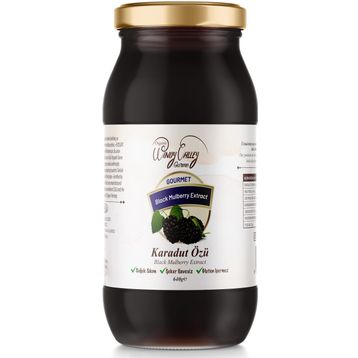 Organic Windy Valley 640 gr Gurme Karadut Özü