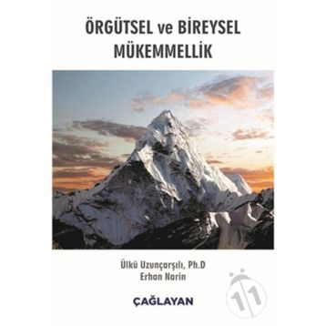 Örgütsel ve Bireysel Mükemmellik - Kolektif