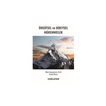 Örgütsel ve Bireysel Mükemmellik - Kolektif