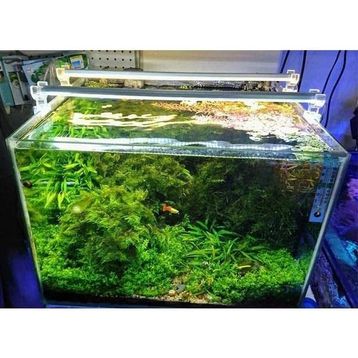 OrionLed Daylight 40 cm 3000K Akvaryum Led Aydınlatma