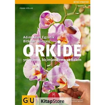 Orkide - Frank Röllke