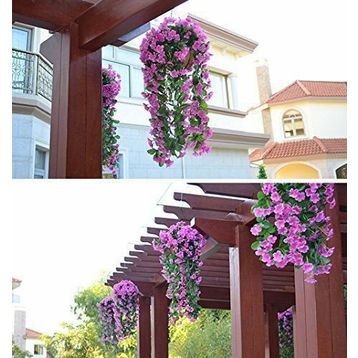 Orkide Menekşe Kaşkorse Takımı