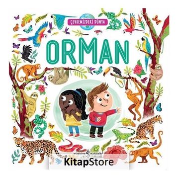 Orman - Çevremizdeki Dünya - Kolektif