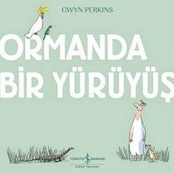 Ormanda Bir Yürüyüş - Gwyn Perkins