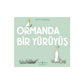 Ormanda Bir Yürüyüş - Gwyn Perkins