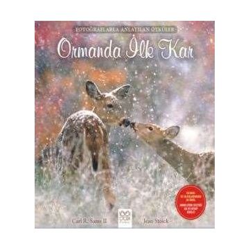 Ormanda İlk Kar - Carl R. Sams II Jean Stoick