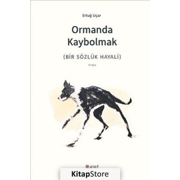 Ormanda Kaybolmak - h ertug ucar