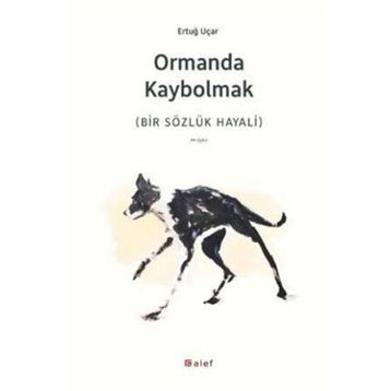 Ormanda Kaybolmak - h ertug ucar