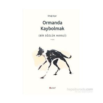 Ormanda Kaybolmak - h ertug ucar