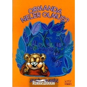 Ormanda Neler Olmuş - Ayşin Bumin
