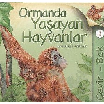 ORMANDA YAŞAYAN HAYVANLAR - JINNY JOHNSON;NICKI PALIN