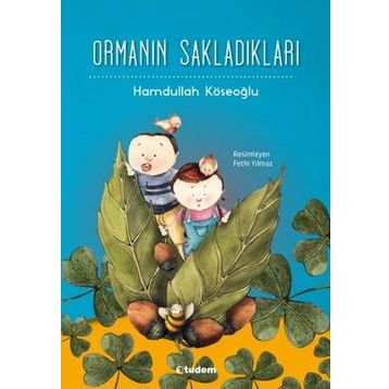 Ormanın Sakladıkları - Hamdullah Köseoğlu
