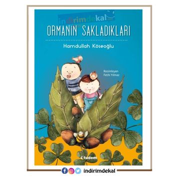 Ormanın Sakladıkları - Hamdullah Köseoğlu