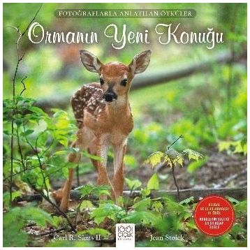 Ormanın Yeni Konuğu - Carl R. Sams II Jean Stoick