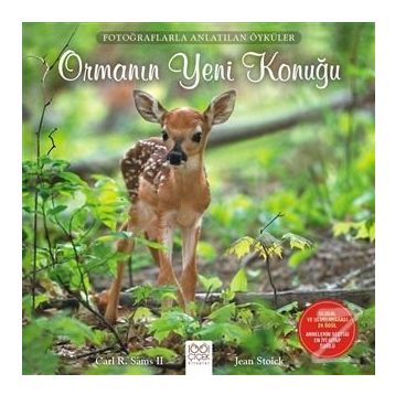 Ormanın Yeni Konuğu - Carl R. Sams II Jean Stoick