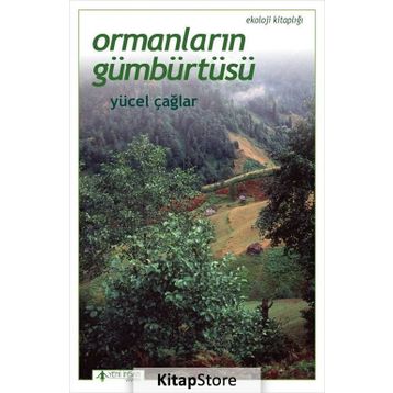 Ormanların Gümbürtüsü - Yücel Çağlar