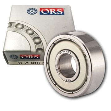 Ors 6000 ZZ Rulman