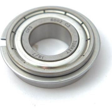 Ors 6002 Motor Rulmanı