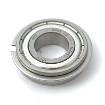 Ors 6002 Motor Rulmanı
