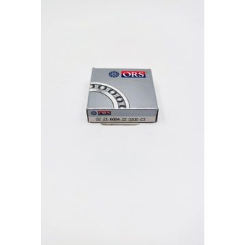 Ors 6004 ZZ Rulman