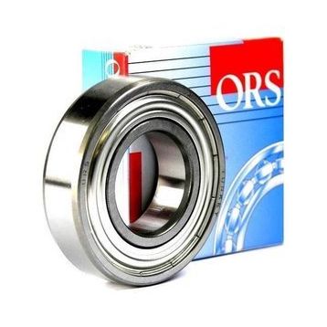 Ors 6004 ZZ Rulman