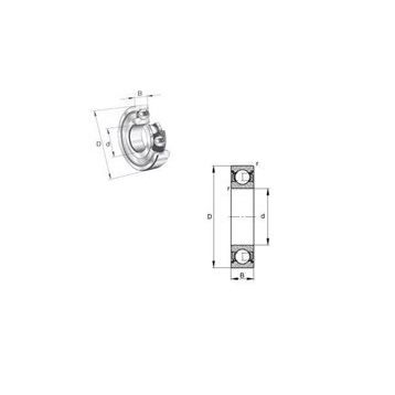 Ors 6309 ZZ Rulman