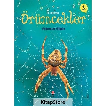 ÖRÜMCEKLER - REBECCA GILPIN