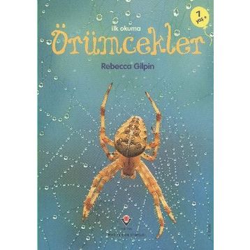 ÖRÜMCEKLER - REBECCA GILPIN