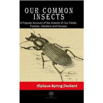 Our Common Insects - Alpheus Spring Packard