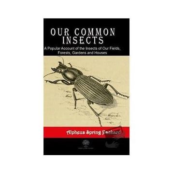 Our Common Insects - Alpheus Spring Packard