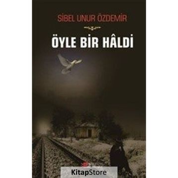 Öyle Bir Haldi - Sibel Unur Özdemir