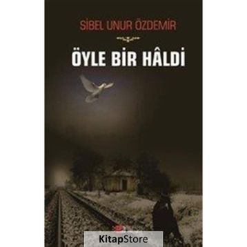 Öyle Bir Haldi - Sibel Unur Özdemir