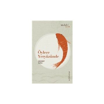 Öylece Yeryüzünde - Mehmet Narlı