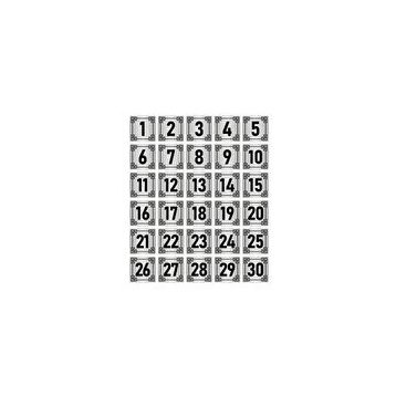 Özarslan Dizayn 5x5 cm Gümüş Renk 30 Adet Metal Kapı Masa Dolap Numara Levhası
