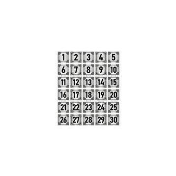 Özarslan Dizayn 5x5 cm Gümüş Renk 30 Adet Metal Kapı Masa Dolap Numara Levhası