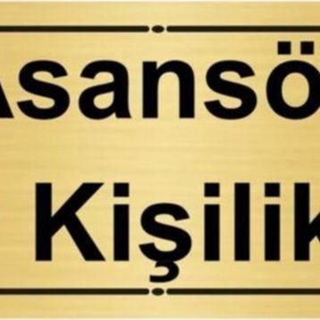 Özarslan Dizayn Asansör 10 Kişiliktir 7x20 cm Altın Renk Metal Yönlendirme Levhası