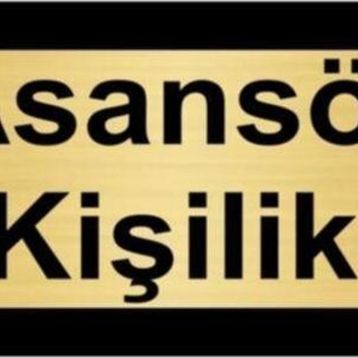 Özarslan Dizayn Asansör 2 Kişiliktir 5x20 cm Altın Renk Metal Yönlendirme Levhası