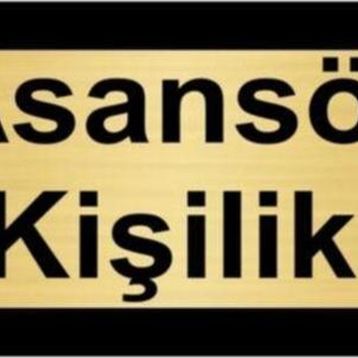 Özarslan Dizayn Asansör 3 Kişiliktir 10x20 cm Altın Renk Metal Yönlendirme Levhası