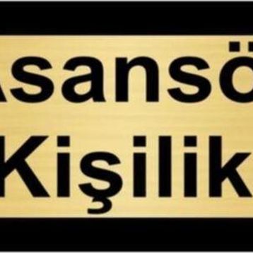 Özarslan Dizayn Asansör 4 Kişiliktir 10x20 cm Altın Renk Metal Yönlendirme Levhası