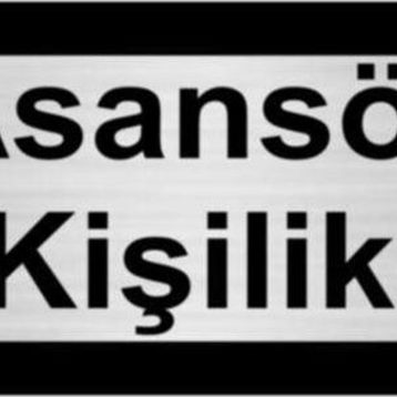 Özarslan Dizayn Asansör 5 Kişiliktir 5x20 cm Gümüş Renk Metal Yönlendirme Levhası