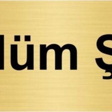 Özarslan Dizayn Bölüm Şefi 10x20 cm Altın Renk Metal Yönlendirme Levhası