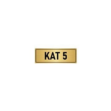 Özarslan Dizayn Departman Kapı İsimliği 5. Kat 10x20 cm Altın Renk Metal Yönlendirme Levhası