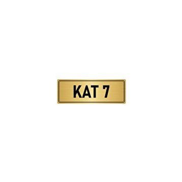 Özarslan Dizayn Departman Kapı İsimliği 7. Kat 10x20 cm Altın Renk Metal Yönlendirme Levhası