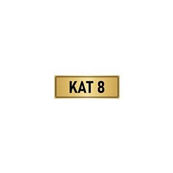 Özarslan Dizayn Departman Kapı İsimliği 8. Kat 5x20 cm Altın Renk Metal Yönlendirme Levhası