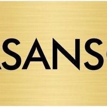 Özarslan Dizayn Departman Kapı İsimliği Asansör 10x20 cm Altın Renk Metal Yönlendirme Levhası