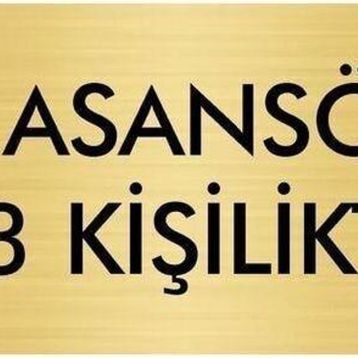 Özarslan Dizayn Departman Kapı İsimliği Asansör 3 Kişiliktir 5x20 cm Altın Renk Metal Yönlendirme Levhası