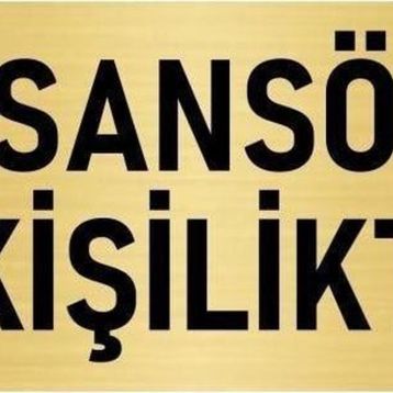Özarslan Dizayn Departman Kapı İsimliği Asansör 4 Kişiliktir 10x20 cm Altın Renk Metal Yönlendirme Levhası