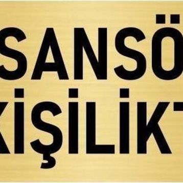 Özarslan Dizayn Departman Kapı İsimliği Asansör 5 Kişiliktir 5x20 cm Altın Renk Metal Yönlendirme Levhası